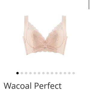 Wacoal beige lace bra, full support E80 (American size equivalent 36D)